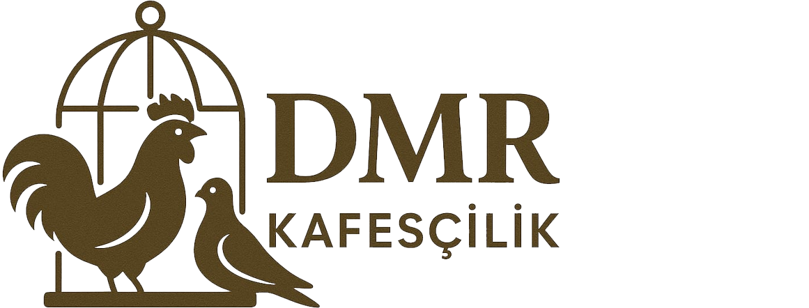 DMR PET